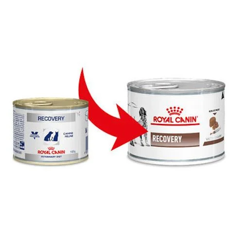 royal-canin-recovery-195-gr-cambio-grafica Royal Canin Recovery Scatolette Umido per Cani e Gatti - Foto 1 | AlanDog