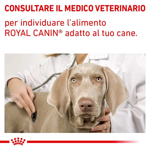 royal-canin-recovry-2 Royal Canin Recovery Scatolette Umido per Cani e Gatti - Foto 7 | AlanDog