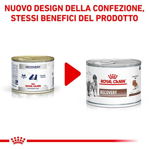 royal-canin-recovry-3 Royal Canin Recovery Scatolette Umido per Cani e Gatti - Foto 6 | AlanDog
