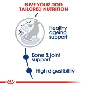royal-canin-secco-maxi-angeing-8