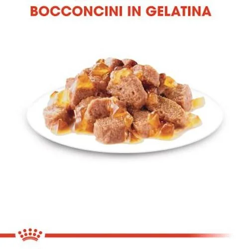 Royal Canin FHN WET Sterilised Buste Gatto 12x85gr - Foto 2 | AlanDog