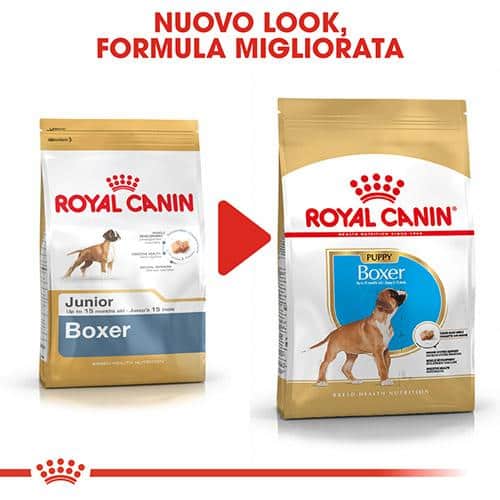 royal canin boxer junior Royal Canin BHN Boxer Puppy - Foto 3 | AlanDog
