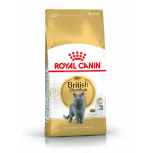 Royal Canin FBN British Shorthair - Monge | AlanDog
