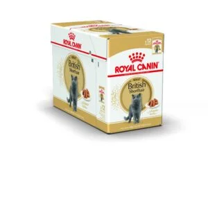 Royal Canin FBN WET Bustine British Shorthair - Foto 1 | AlanDog