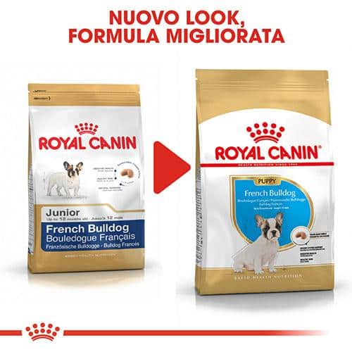 royal canin bulldog junior Royal Canin BHN French Bulldog Puppy - Foto 1 | AlanDog