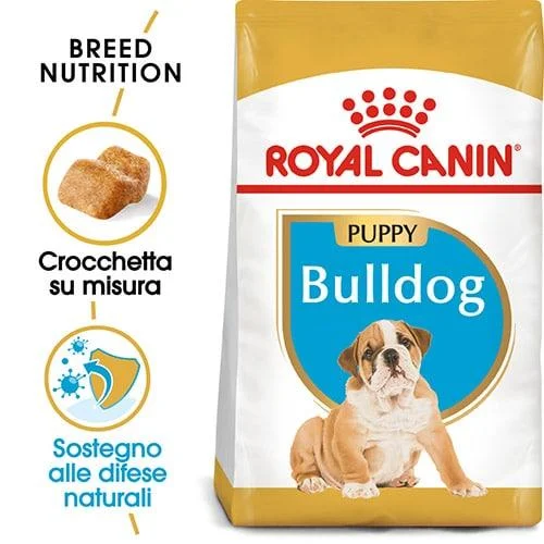 royal canin bulldog junior Royal Canin BHN Bulldog Puppy - Foto 1 | AlanDog