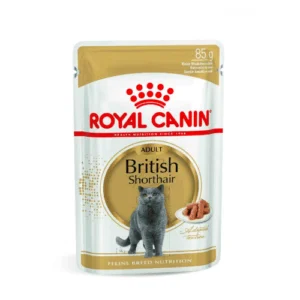 Royal Canin FBN WET Bustine British Shorthair | AlanDog