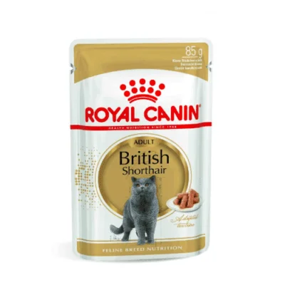 Royal Canin FBN WET Bustine British Shorthair | AlanDog