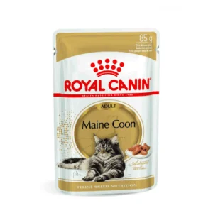 Royal Canin FBN WET Bustine Maine Coon | AlanDog