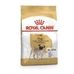 Royal Canin BHN Carlino