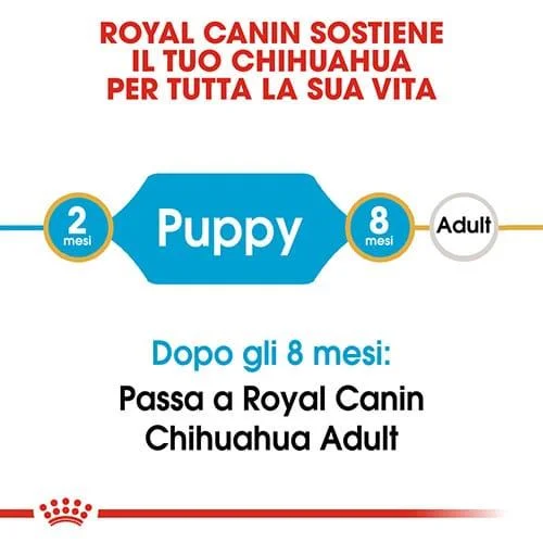 Royal Canin BHN Chihuahua Puppy - Foto 4 | AlanDog
