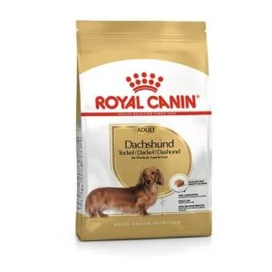 Royal Canin BHN Dachshund Adult | AlanDog