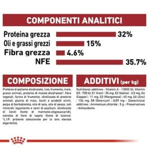 Royal Canin FHN Fit 32 - Foto 1 | AlanDog