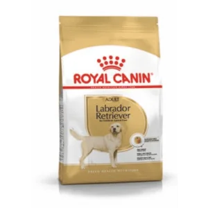 royal_canin_labrador_adult