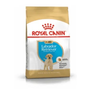 royal_canin_labrador_puppy_secco