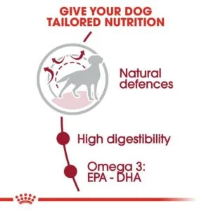 royal_canin_medium_adult