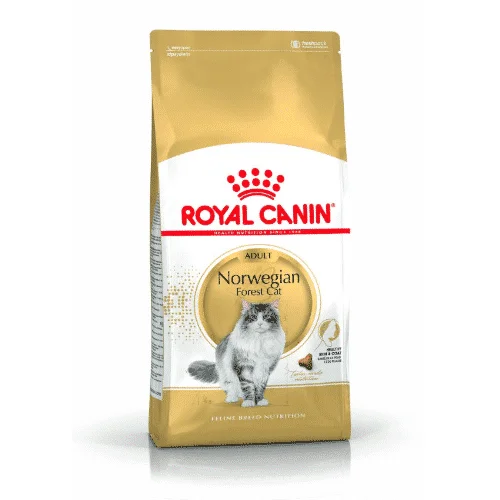 Royal Canin FBN Norvegese | AlanDog