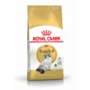 Royal Canin FBN Ragdoll | AlanDog