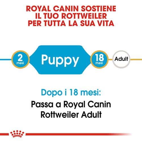 royal canin rottweiler junior Royal Canin BHN Rottweiler Puppy - Foto 1 | AlanDog