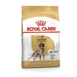 Royal Canin Setter Adult | AlanDog