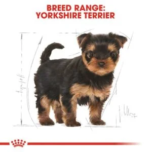 Royal Canin BHN Yorkshire Puppy 2 royal_canin_yorkshire_puppy