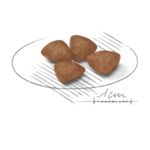 Royal Canin Mini Starter Mother and BabyDog - Foto 1 | AlanDog