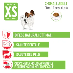 Royal Canin X-Small Adult 2 Royal Canin X-Small Adult - Foto 2 | AlanDog