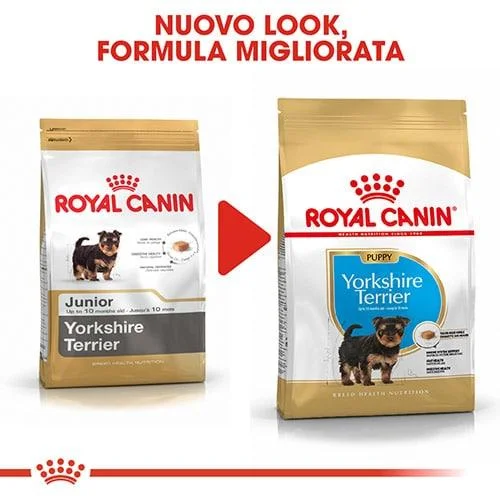 yorkshire puppy Royal Canin BHN Yorkshire Puppy - Foto 3 | AlanDog