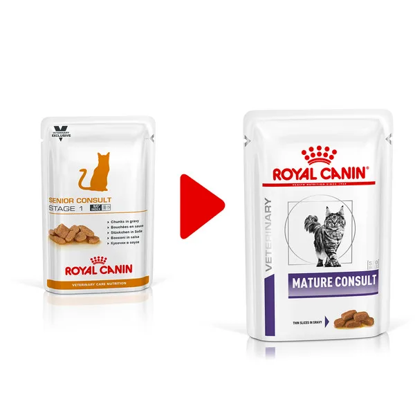 Royal Canin Mature Consult Gatto Bustine Umido - Foto 1 | AlanDog