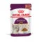 Royal Canin FHN WET Sensory Taste Gatto | AlanDog