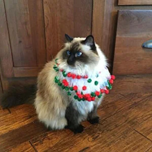 Collare di Natale con Pom Pom per Cane e Gatto - MIDLEE - Foto 1 | AlanDog