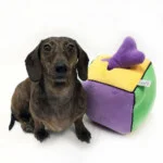 Plush Find a Bone Cube Dog Toy