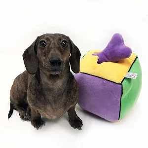 Plush Find a Bone Cube Dog Toy - MIDLEE | AlanDog