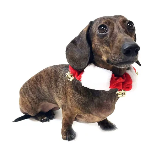 white-red-christmas-plush-ball-collar-visual Collare di Natale morbido Rosso e Bianco con Campanellini - MIDLEE - Foto 1 | AlanDog