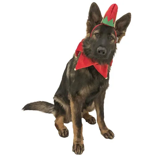 Elf-Dog-Hat-with-Bell-Neck-Band-Dog-Costume-visual Costume da Elfo di Natale per Cani - MIDLEE - Foto 4 | AlanDog