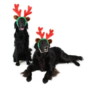 Cerchietto da Renna di Natale Rosso Morbido - MIDLEE - Foto 1 | AlanDog