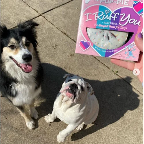 pup-pie-i-ruff-you-visual I Ruff You Pup-PIE – Torta per Cani - Lazy Dog Cookies - Foto 1 | AlanDog