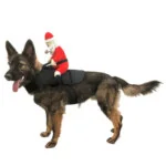 Costume da Babbo Natale per Cani
