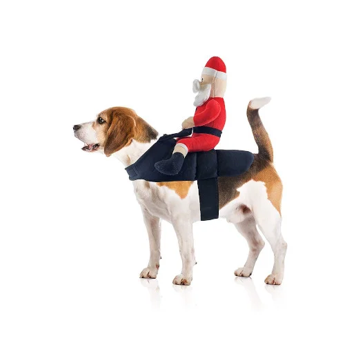 santa-claus-jockey-dog-costume-christmas-medium Costume da Babbo Natale per Cani - MIDLEE - Foto 4 | AlanDog