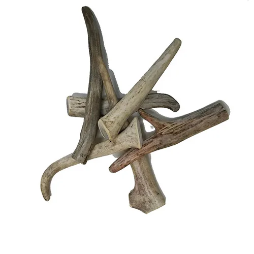 Corna Di Renna da masticare - Small 1 Corna Di Renna da masticare – Small - Bark Appeal Pet Product | AlanDog