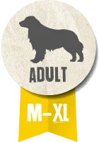 Belcando Adult Active