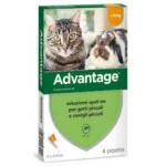 Advantage Spot-On 4 Pipette Gatti e Conigli Minore 4 kg