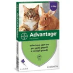 Advantage Spot-On 4 Pipette Gatti e Conigli Maggiore 4 kg