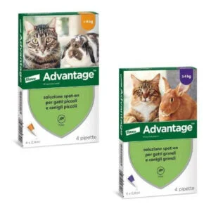 Advantage Spot-On 4 Pipette Gatti e Conigli Minore 4 kg
