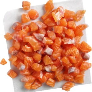 Belcando Mastercraft Fresh Salmon