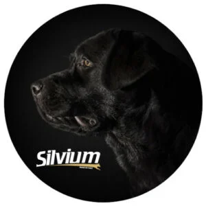 Silvium Adult Crocchette per Cani - Dagel - Foto 1 | AlanDog