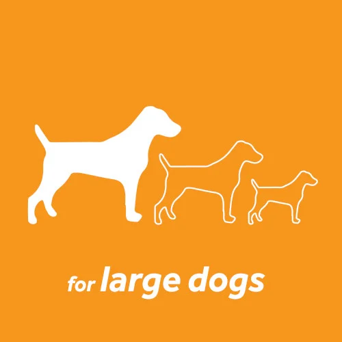 TropiClean Kit Igiene Orale Large Dog - Foto 8 | AlanDog