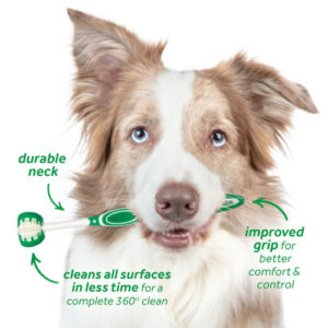 tropiclean kit igiene orale large dog 9
