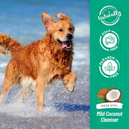 TropiClean Shampoo Cambio Muta Cocco e Lime - Foto 5 | AlanDog