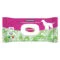 Inodorina Refresh 40 Salviette Igienizzanti Clorexidina | AlanDog
